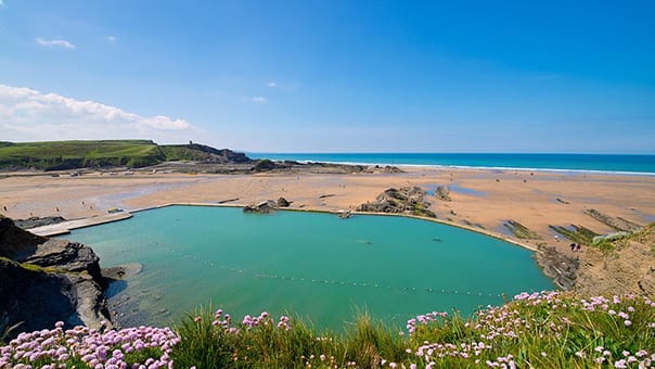 Dog Friendly Beaches Bude Area Dog Friendly Beaches Bude Area