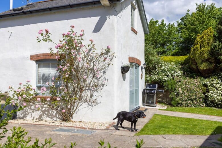 Luxury Holiday Cottages For Rent Bude Cornwall Fulmar Cottage 7