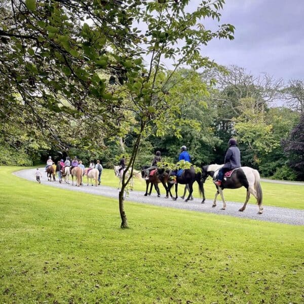 Broomhill Manor Holiday Cottages Bude Cornwall Horse Riding