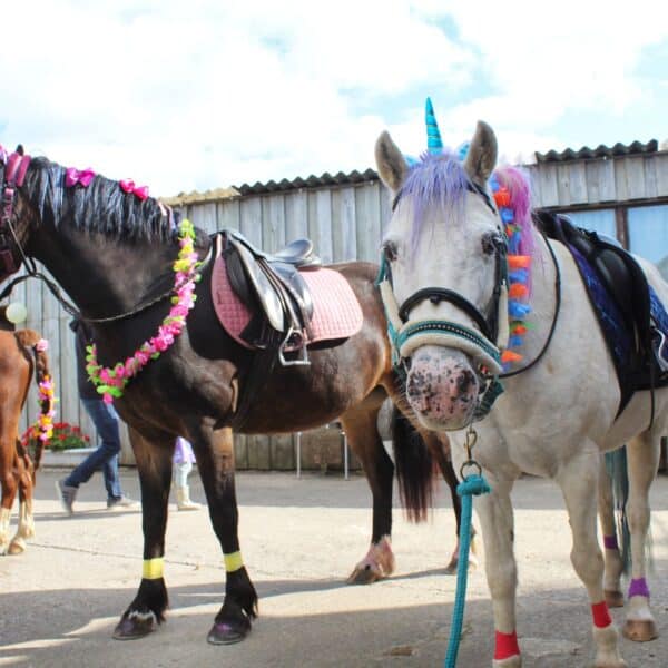 Broomhill Manor Holiday Cottages Bude Cornwall Horse Riding