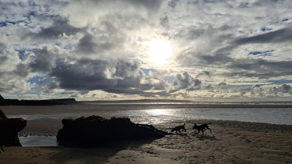Dog Friendly Holidays At Broomhill Manor Holiday Cottages Bude Cornwall