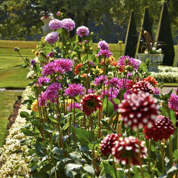 Formal Gardens Cornwall Broomhill Manor Holiday Cottage rentals