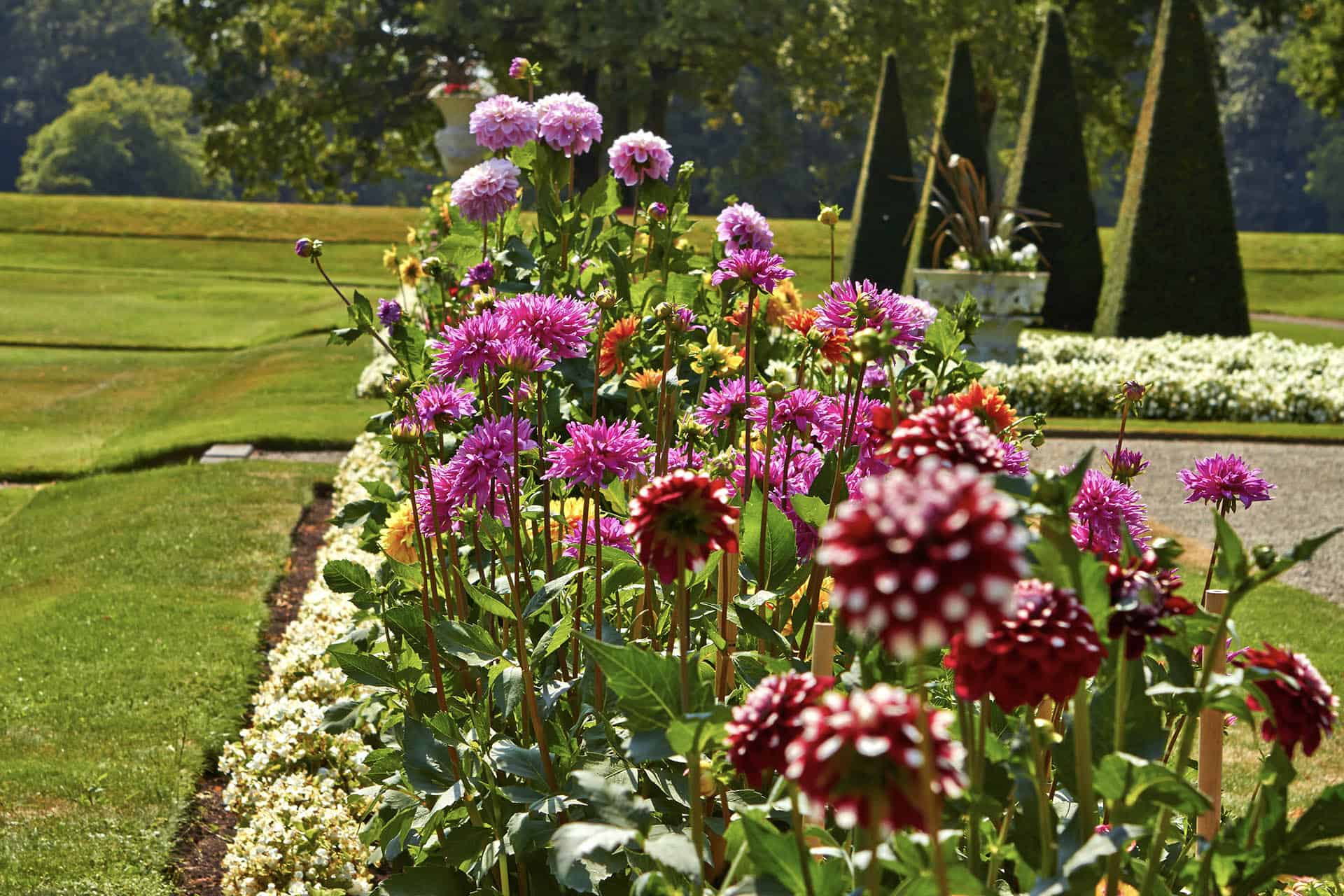 Formal Gardens Cornwall Broomhill Manor Holiday Cottage rentals