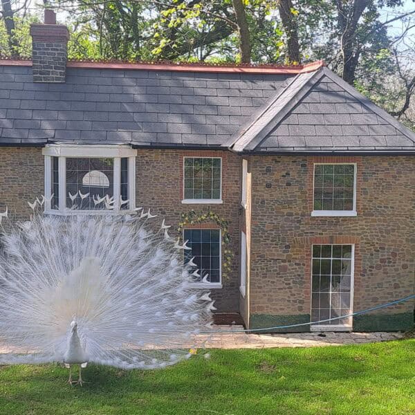 Broomhill Manor Luxury Holiday Cottages, Bude, Cornwall