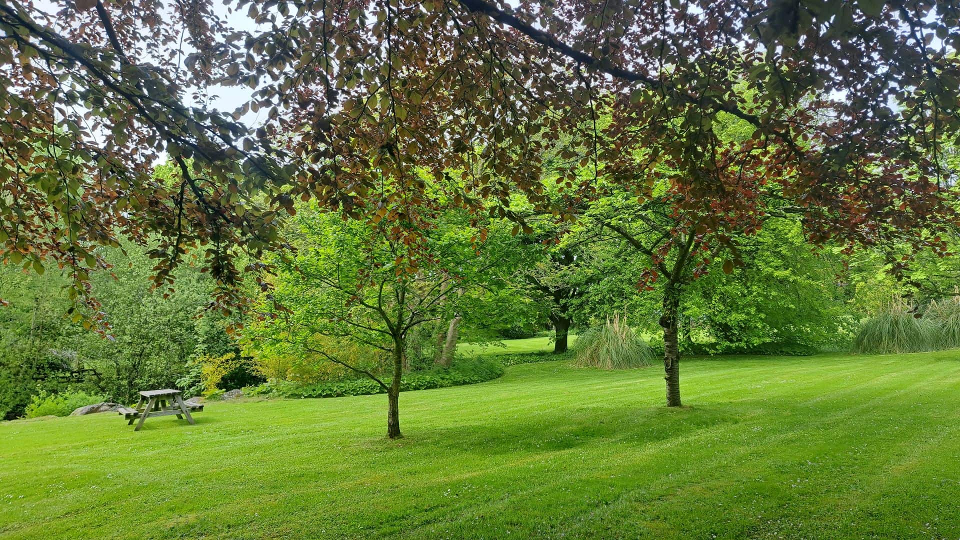 Lower Gardens at Broomhill Manor luxury Holiday Cottages for Rent