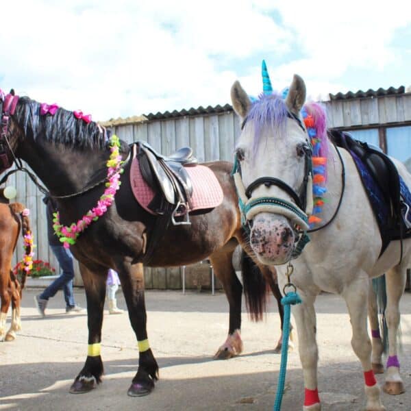 Horse riding at Broomhil Manor