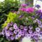 Baskets WP_20170708_16_39_09_Pro