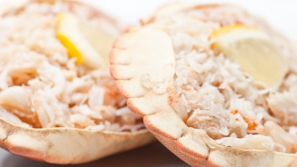 Cornish Crab Cornish Crab
