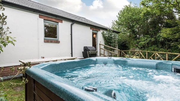 Nightingale garden with hot tub Nightingale garden with hot tub